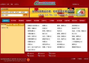 专业网站优化,网站推广,网站信息发布