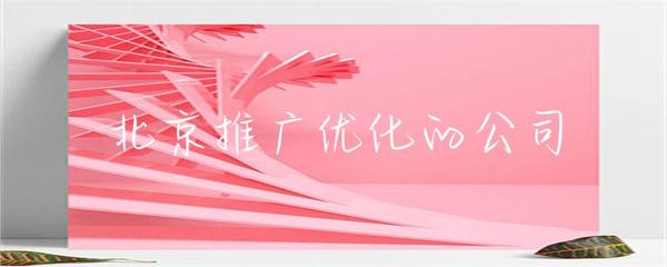 北京推广优化的公司